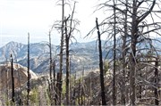 Tucson 2606